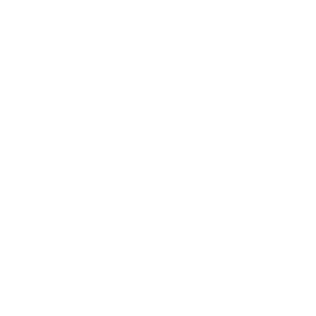 Cornerstone Medical (USA) Inc