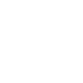 Cornerstone Robotics Limited